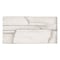 Msi Copen Snow Stacked Stone SAMPLE Natural Manufactured Stone Wall Cement Tile ZOR-PNL-0004-SAM - alternate 1